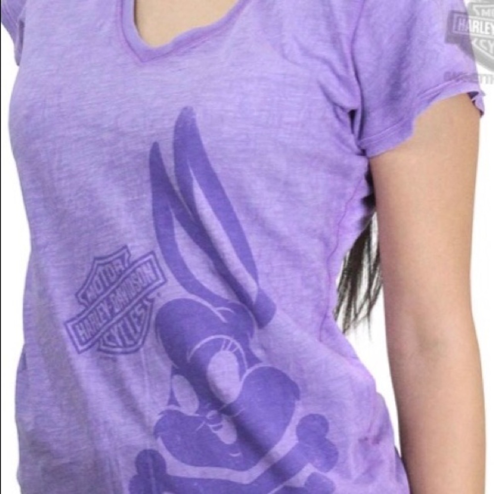 NWT HARLEY DAVIDSON LOONEY TOONS SHIRT